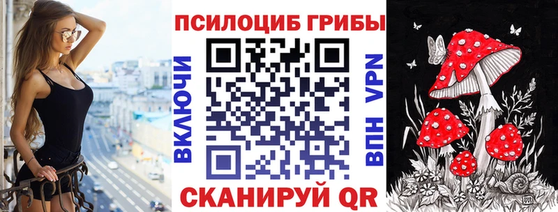 что такое   Шилка  Галлюциногенные грибы Magic Shrooms 
